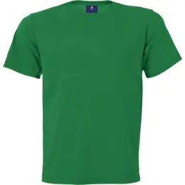 160g Barron Crew Neck T-Shirt Amazon Green